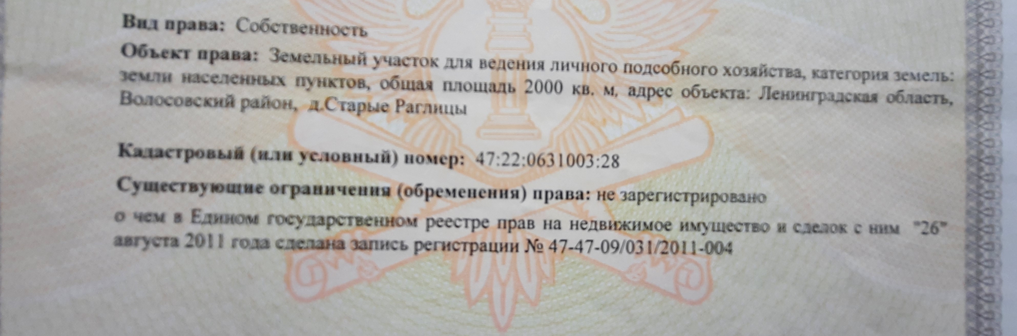 Старые Раглицы